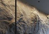 Фактура камня, имитация скалы, штукатурка стен, дизайн интерьера Рельеф на стене, фактура камня. Искусственная скала – это стена, имитирующая текстуру и цвет натурального камня, однако искусственный камень гораздо легче и дешевле. Создаются такие скалы и